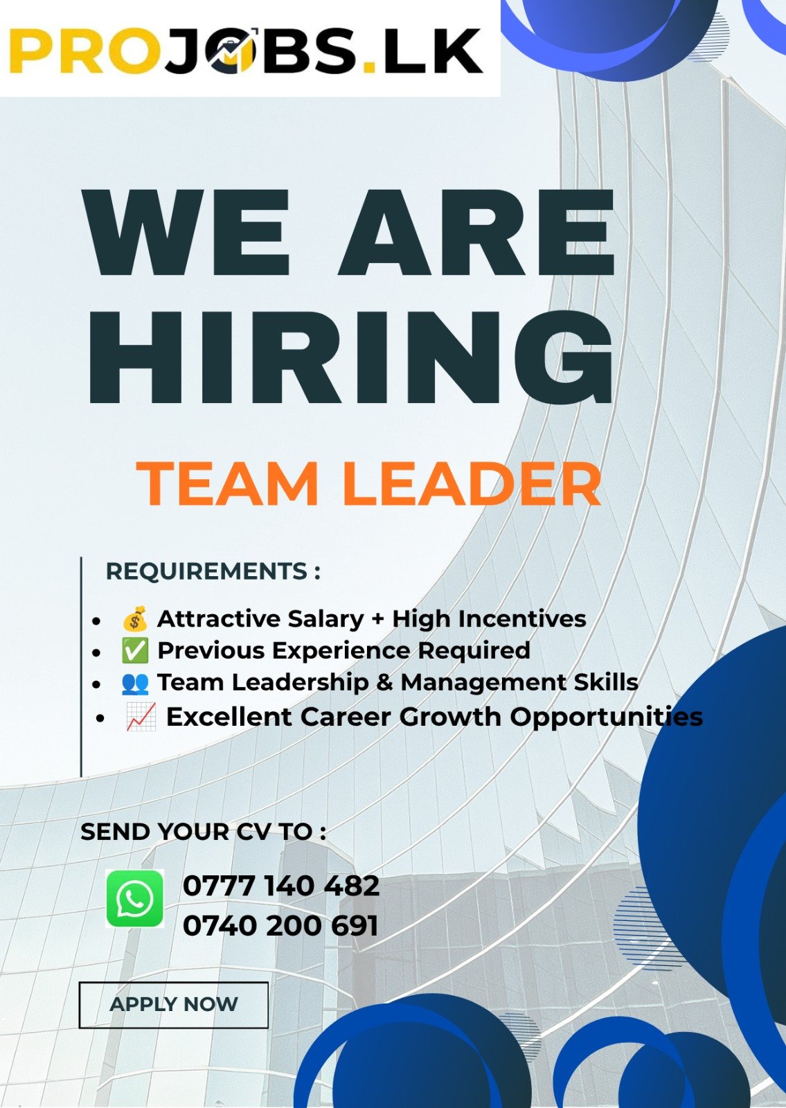 Team Leader